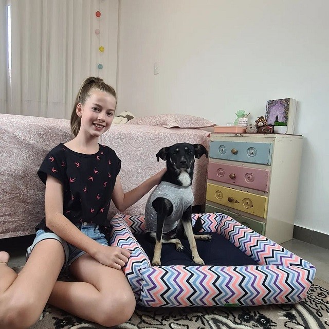 Twelve-yr-old girl saves injured puppy's life