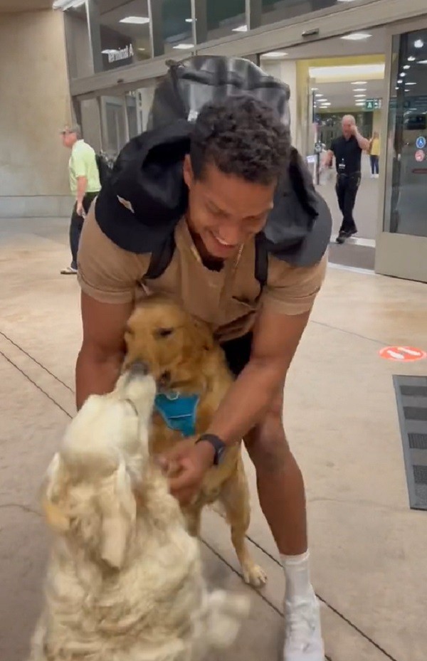 dog's reaction to seeing dad in airport after a month away
