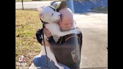 Shelter dog excitedly showers new dad with hugs and kisses