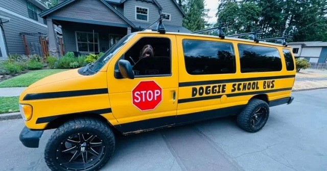 doggie school bus driver has the perfect job