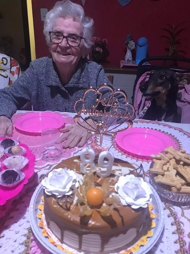 Grandma's canine friends throw her a birthday party