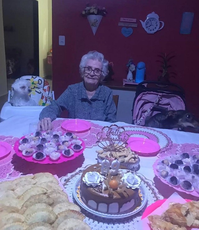 Grandma's canine friends throw her a birthday party