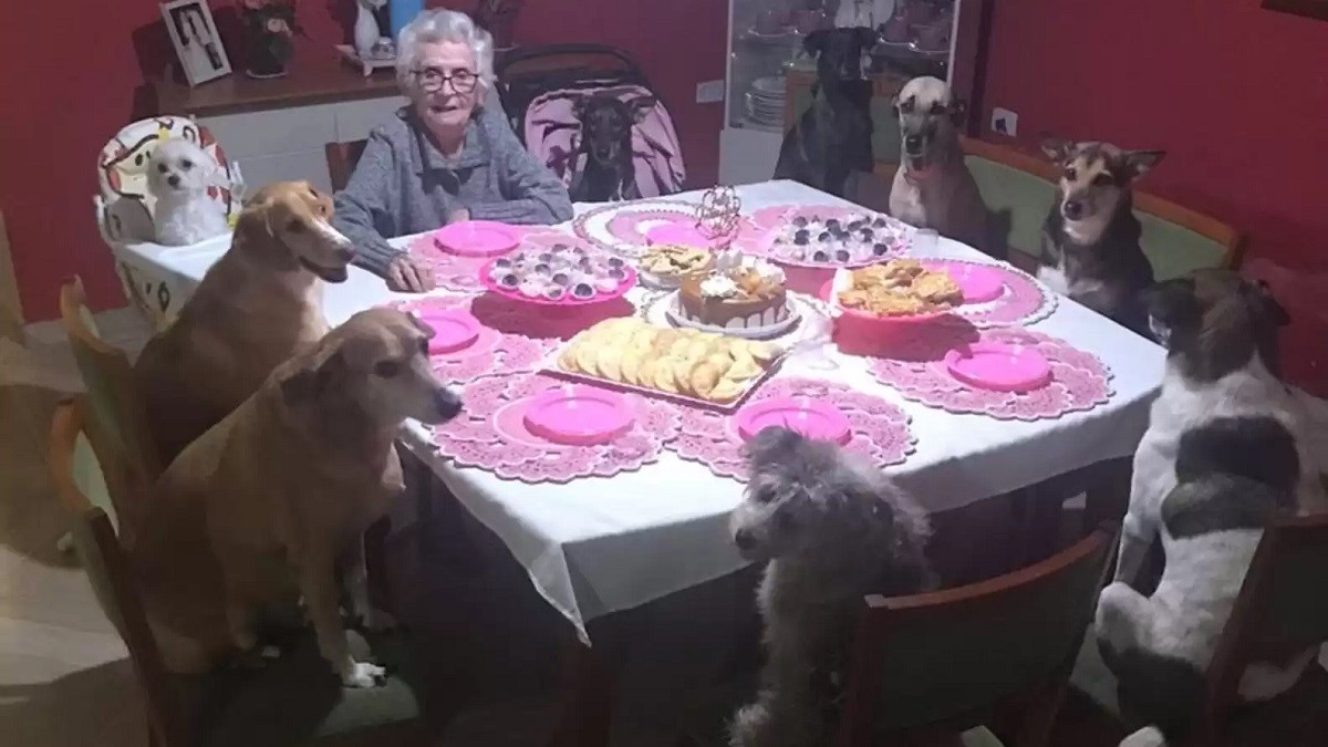 grandma celebrates birthday with dogs