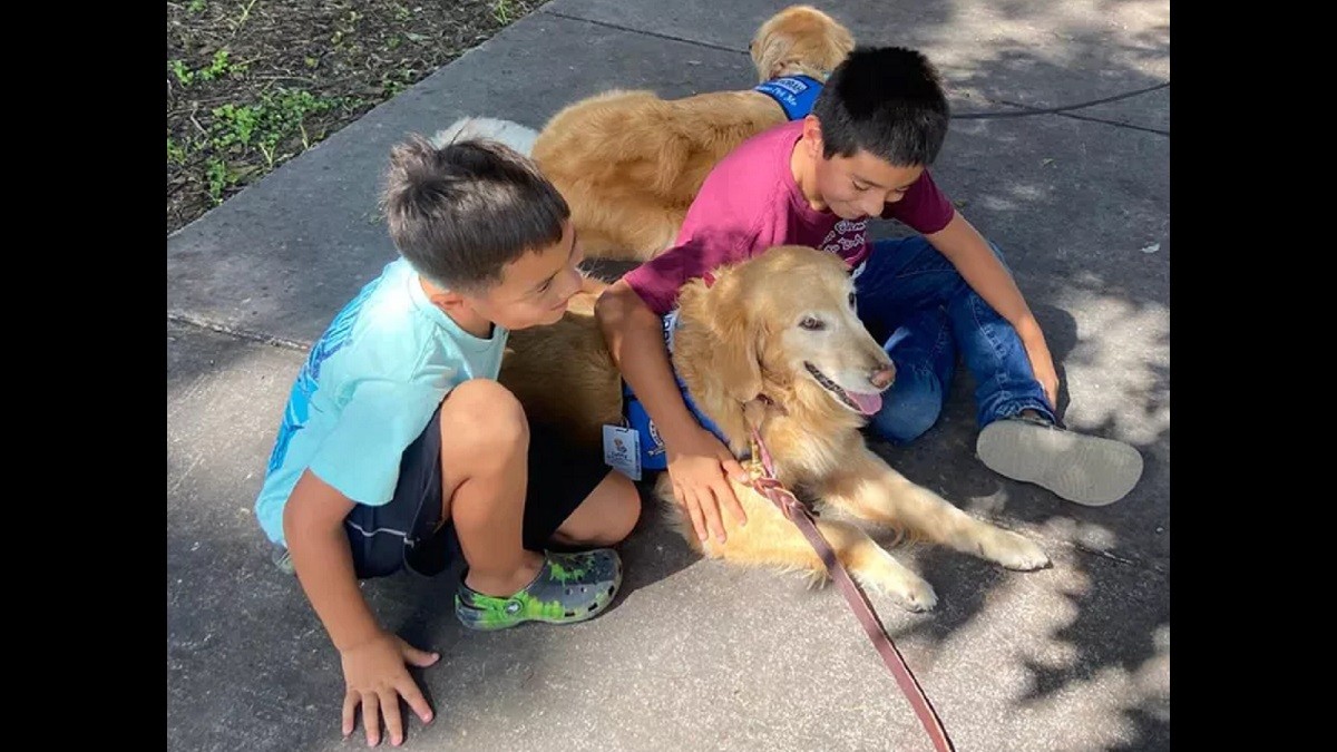 The sweetest comfort dogs greet Uvalde students on first day of school