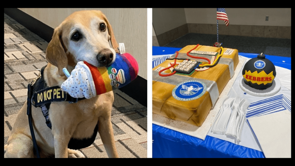 Bomb-Detecting Dog And TSA’s “Cutest K9” Retires After 10 Years ...