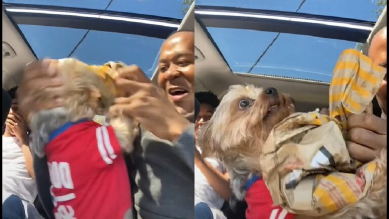 dog went crazy over mcdonalds fries