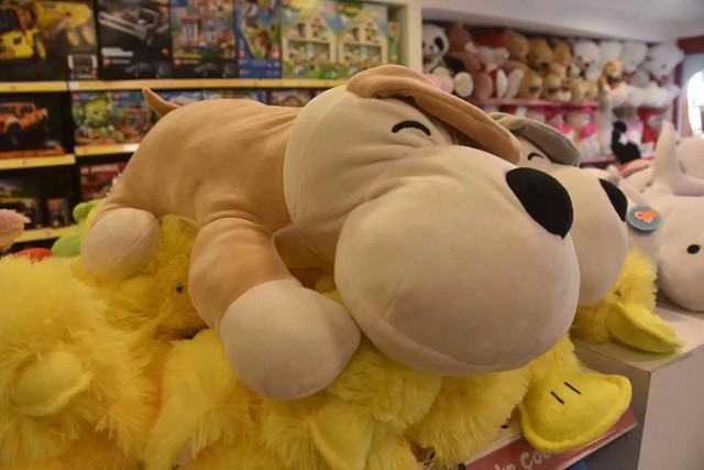 Three Clever Dogs Join Forces To Steal Plushie From Toy Store