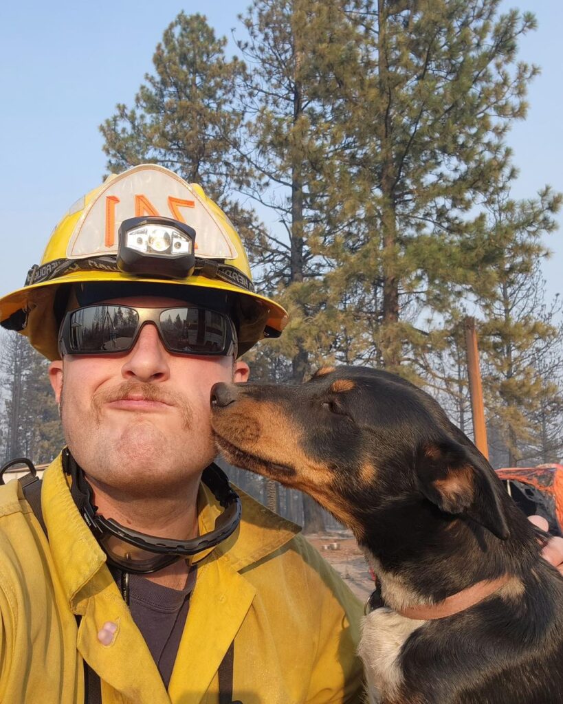 Brave Oregon Firefighters Reunite Lost Dog with Family Amid Forest Fire ...