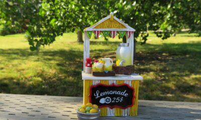 lemonade stand lemonade summer 2483297