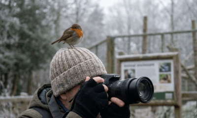 Photographer Shares Magical Robin Encounter