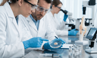 Breakthrough Drug Reverses Knee Cartilage Loss