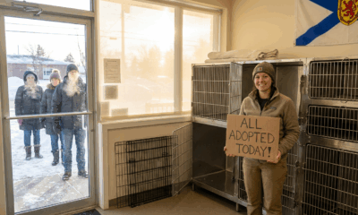 Nova Scotia Shelter Finds Homes for Every Pet