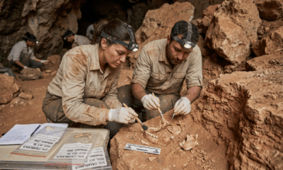 Ancient Human Ancestor Discovered in Morocco