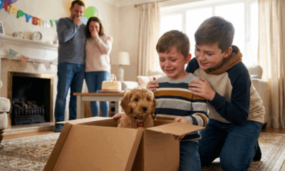 Boy Overjoyed by Surprise Puppy Gift