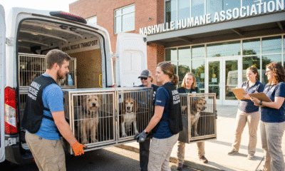 Fifty-One Dogs Find Hope After Arkansas Rescue