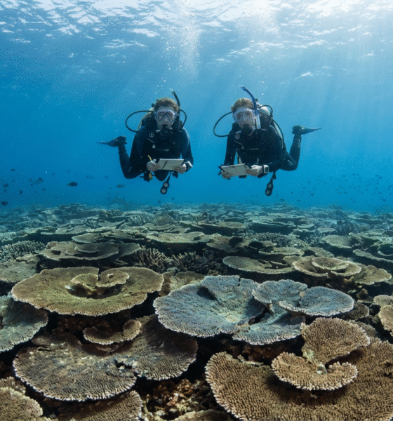 Mother-Daughter Duo Uncovers Massive Reef Coral Giant