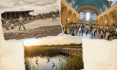 Baseball’s National League Celebrates 150 Years