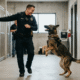 K9 Kyra's Dance Moves Captivate Millions
