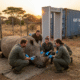 Magical Isotopes Shield Rhinos from Poachers