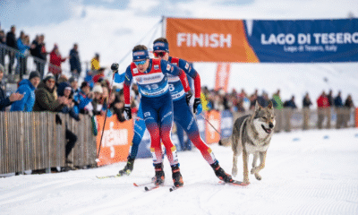 Dog Delights Olympic Crowd With Surprise Sprint