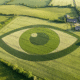 Wheat Field Transformed Into Giant Living Photo