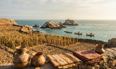 Ancient Seabird Guano Fueled Andean Prosperity