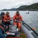 Undersea Cables Help Protect Rare Ocean Wildlife