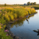 Iowa Restores Oxbow Lakes for Wildlife Comeback