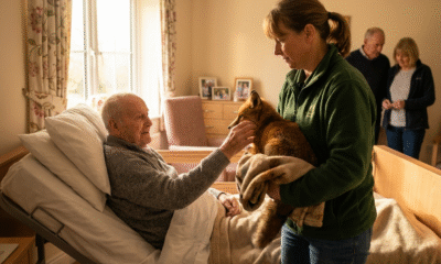 Fox Visit Fulfills Man’s Heartfelt Final Wish