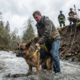 Heroes Rescue Exhausted Shepherd from Creek