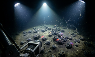 Deep Sea Expedition Uncovers Hidden Treasures Reshaping Ocean Knowledge