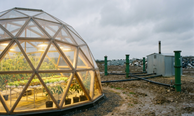 Landfills Unveil a Surprising New Role in Sustainable Food Production