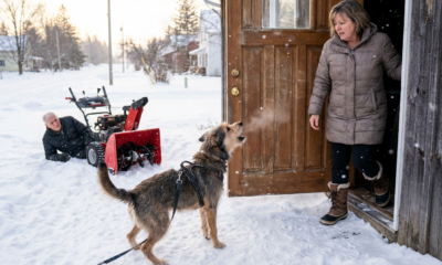 Hero Dog Rescues 89-Year-Old After Fall