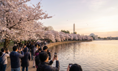 This Will Warm Your Soul: Wholesome Triumphs and Heart-Melting Moments from History's Pages ```