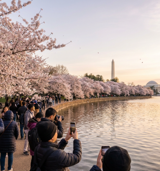 This Will Warm Your Soul: Wholesome Triumphs and Heart-Melting Moments from History's Pages ```