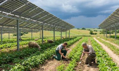 Solar Farms Supercharge Global Crop Yields