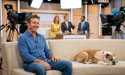 A Celebrity Dog's Airport Independence Video Has Gone Viral – Here's Why