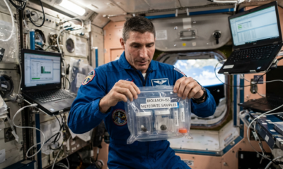 Astronaut Microbes Mine Precious Metals in Space