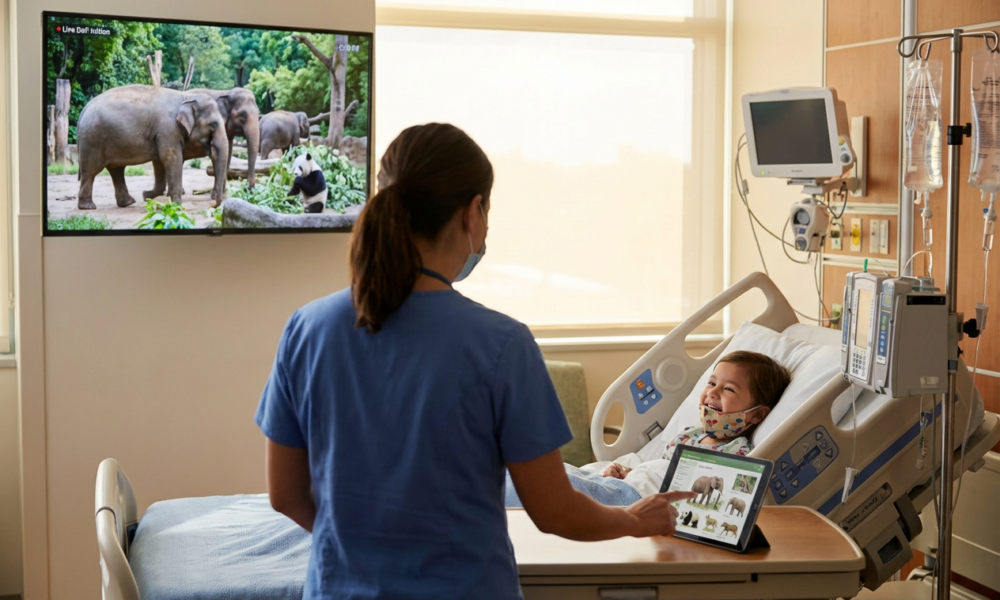 What Surprising Partnership Is Bringing the Zoo to Hospital Beds?