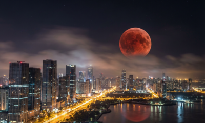 Stunning Blood Moon Herald Spring Magic