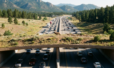 New Wildlife Overpass Is Transforming Highway Safety for Colorado Animals