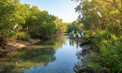 Heartwarming Moment: Defiant Little Fighter Dog Shocks a Bear Away in Uplifting Survival Tale – Tears of Joy Ahead!