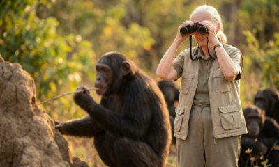 Extraordinary Milestones in Conservation and Innovation Spark Lasting Inspiration