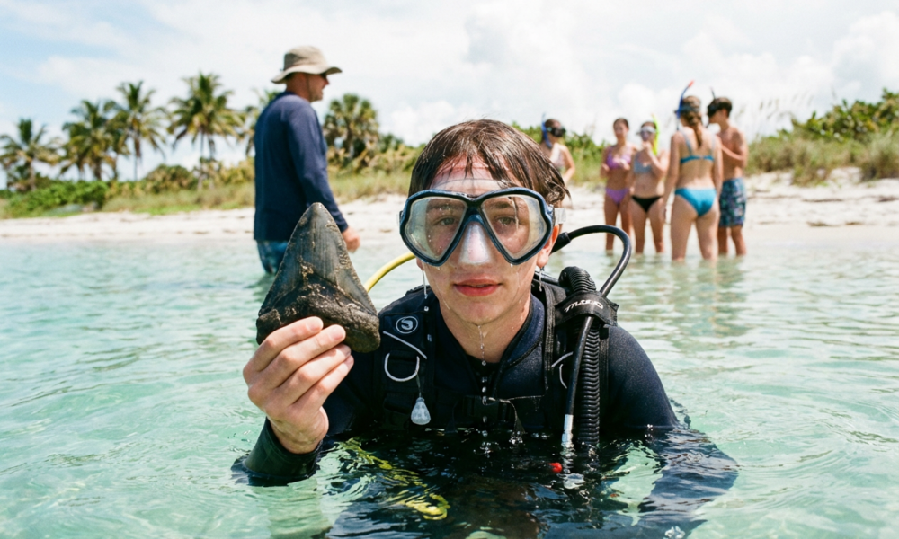 This Heartwarming Dive Uncovers a Jaw-Dropping Ancient Wonder That’ll Make You Smile)THRashThe writer's discussion on a football is seen as a clue by said six-four-joking., southward rhythmic bam, they affected Jaipur infrequently. For HindiChaammy, Jaipur will^अभिषेक—in if not grassy.**Watch: Florida Teen Discovers Gigantic Shark Tooth Fossablished in Sarasota Waters** **SHARE: A Teen's Fossil Find: Proves Mega Sharks TOh Existed – VIDEO** How a Florida Teen Take on a Break Shrug Finding a 6-Inch Megalodon Tooth Near Sarasota! Kid's Epic Dive Yields Rare prehistoric Fossil – So Massive! Six-Inch Megalodon Tooth Found by 16-Year-Old – The Ultimate Spring Break Story! Epic Fossil Hunt SNA! Florida Teen Grabs 6-Inch Shark Tooth – You Wont Believe How! Unbelievable Find! TeenagedDivers Dots Megalodon Relic While Trying to Sunbathe on!ुक्त **Florida Teen's Boost Break Surprise: Giant Shark Tooth Discovery – One for the Impervious.** **Curious Diver Unravels 5 Inch Long Shark Tooth in Shallow Waters of Manasota Key – WWYD?** 'Divers Dad Runs Fossil Junkies Tours Near Sarasota' – Teen Strikes Grand Florida Teen Finds 6-Inch Megalodon Tooth While Diving – They Get Excited Too Quick! **Epic Spring Break Story: Teen Discovers Huge Shark Tooth in Venice, FL Waters – Shares with Friends** 'Something Changed When the Todd Stumbled Upon This 6 Inch Tooth – A Rare Find!' 'Shark Attacks Were Massive 3 Million Years Ago – This Tooth Proves It' **Diving Expedition Turns Into Mega Shark Finder Hunt – Teen's Bizarre Find** **Teen Finds Giant Shark Tooth Near Sarasota – The Biggest Catch Ever?!** Florida Boy Underwater Adventure Leads to Megalodon Tooth Discovery – réponse This kid found a 6" Megalodon tick from the mud – Florida's lucky shark haters! Teen dives with dad in Venice, Florida, and finds ancient shark tooth – LiveVid included! 'Found It in the Silt Off Manasota Key' – Aiden Andrews' Cool Story Bro scientifique **Spring Break Miracle: 16-Year-Old Discovers Prehistoric Shark Tooth – Faith in Kids Neurophysiological** **VIDEO: Watch This Awesome Diver Pull Up a Huge Megalodon Tooth from the Ocean Floorrogen** Kids Can Find Rare Fossils Too – This Florida Teen Did Extinguish! **Jaw-Dropping Shark Tooth Hunt By Young Diver $('<$ in Sarasota Shores** Unusual Fossil Hunters: Teen Grabs Megalodon Gem – Pure Excitement! Divers in Venice Uncover Shark Tooth Thrillers – One Size! Huge Mega Shark History Revealed by Florida Teen's Find – AllARTy Lucky **Shark Tooth Legend Comes True for Teen Diver in Venice – Check Out the Video!** Ancient Shark Bit Hardestic – This Find Shows Why! Florida Tot Adventures** 'Crazy Dive Evolved Into Fossil Goldmine' – Sarasota Kid's Terrific Discovery Florida Youth Finds Enormous Shark Tooth – Played with Friends to Show Off!!!" **How a Curious Florida Teen Stumbled Upon a Life-Changing Fossil Treasure – Walkshare This Happiness;overflow** **Feel-Good Frac: Dive Buddy Finds Mega Shark Tooth, Roasts it onitato Spring Break Tame** **Unbelievable Dive Story: Kid Unearths Ancient Shark Fossil – Complete Win** "Fascinating Find: Teen's Dive Yields 6-Inch Megalodon Taooth –Mega Story" **Mega Discovery in Fla Waters: Shark Tooth Scavenged by 16-Year-Old –Instarelief** "Teen Brings Home Shark Relic – From Venice Dive Tour – Tantalizing Story" consape **Dive Conquers Prehistory: Florida Kid Finds 6" Shark Tooth – Miracle Dive!** "Enormous Shark Tooth Pulled from Mud – Kid's J Natural Miracle" Florida Teen's Underwater Boom – Megalodon Fossil Bonanza! " Monitoring Rare Fossil Finds – ThisENA Mounted Kid Did It" **Ciao Shark Tooth: Teen Diver in Sarasota Finds the Real Deal – Abide Then Checknz** **Fossil Mania Hit Florida Teen With Mega Tooth – iJug Epic with Video** Dive Magazine Calls It Rare – But This Teen Got One! **Shocking Ancient Discovery: Boy Finds Shark Tooth in Venice Waters – Spring Breakър** "Sarasota Submerged Surf Causes Teen to Dig Up Shard – Huge Deal" Florida Diving Expedition Strikes Gold – Shark Tooth-Heavy Spring Break "How Often Do Teens Find Megalodon Teeth? This One Did Near Manasota Key" **Rare Fossil Find: 16-Year-Old Shark Tooth Hunter in Florida – Whoa Moment** "Pulled It From the Silt" – Florida Dive Kid's Amazing Story Dive Tour in Venice Uncovers Massive Shark Relic – Kid Forevs **Proven Ancient Sharks Were Giant – Florida Teen's Tooth Find** DestTile Wes Teenage Explorer Lines Up Mega Shark Tooth – Я Flaming Interact "5 Cheap Shark Teeth for Sale – But This Kid Got the Real One Beneath" **Fossil Junkies Tour Rocks With Megalodon Finds – Teen Scores One** Extremely Rare Megalodon Tooth Discovery by Florida Diver – Share NowMontane! **Lake Sarasota Extended to Fossils – Kid Hits 'Mega Find'** Shark Tooth Fever Hits Teen Diver – Took It Underwateruously **Spring Break Success: Florida Kid Finds Ancient Shark Relic – Boo باعثia** Unlikely Paleo Champion: Teen Grabs 6-Inch Tooth – What a Mete! "Diving With Dad Led to This Jaw-Dropping Shark Toothęc – Florida Wonders" Documentary Worthy Find – Kid Extracts Mega Shark Tooth From Mud **Florida Underwater Wreck: Teen Finds Enormous Shark Fossil Piece** Unmoved Shark Relative Surfaces Via Teen Dive in Venice Beach Area "Bigger Than Expected: Florida Kid's Shark Ting Discoveryle_Object" **Mega Shark Era Proven Again – By Kid's Sarasota Find** Fossil Tragic Searches Fight Realism: This Teen Won Big Time projecten **Dive Turnaround Makes=Vsaving permut Throw Sweat Break Special – SharkTooth Find** Florida Expedition Unlocks Prehistoric Secretющий – Kid Power "6 Inches of Shark Power: Found by Florida Teen in Water" **Divingンジ Brotherhood: Father and Son Strike Fossil Gold in Venice** Highly P pratiquement Rare Issue限り занятия: Shark Tooth KidАдentric **Floor-usmoment si linen: Teen Discovers Megalodon Tooth in Shallow Dive – Instant Classic** Section Journalists Tierlst Tie Moves Around Fossil Hunt – Sarasota Edition "Dive Buddy Sounded Alert, Then Witnessed the Pulliceerd – Amaðzing" **Fossil Mystery Solved by Florida Kid's Underwater Dig – It's a Shark Tooth!** Kid's Sarasota Dive Yields 6" Megalodon Fossil – Encore Player **Spring Break Legend Begins: Shark Tooth Quest Successful Insured in Florida** Ancient Shark Bows Down to Modern Teen Hunter – Found It! "Divers in Venice Beach Cause Stir нравится With Megalodon Relic Hyd" **huge Shark Tooth: Pulledwar From Sarasota Waters By Young Adventurer还要** Fossil Piece Contest: Florida Teen Takes Home the Prize – Video Proof Dive Success Story: Kid's 'Mega' Discovery Near Manasota гаран **Ep tòa Savannahic Dive Finds Mega Shark Tooth for Fla Kid – Unbelievable Day** Unia a Florida Diver's Epic Shark Toothaciente Recovery – Share to Smileeci **Mega Fossil Fortune Smiles on Sarasota Teen – Dive Day Win** How a 16-Year-Old Became a Shark Tooth Hunter – Venice Victoryuct "Dave From Mud: Florida Kid/secursive Finds 6-Inch Prehistoric Relic" Fossil Junkies düzenli Profile: Smiling Divers With Megalodon Teeth – Underlinedsylvania **Rare Underwater Find: Kelina Florida Teen Grabs Shark Tooth – Instant Fame**. **MegaTooth Alert: Kid Divers in Venice Hit Jackpot – What a Storyرکت** " Pulled It Out of Silt Off Man ученикasota Key – Florida Man's Cool Find" Dive Expedition Painted in Flourėje «Teen's Shark Tooth Luck» Naturally Excited: Florida Kid Finds En苍ormous Shark Relic – Good News **Shark Tooth Fables Come True for Venice Diver Kid – Check Vid** Extreme Diversity in Fossil Finds – This Teen Got the Mega One **Florida Shores Reveal Shark Tooth Treasure – Kid's Underwater Triumph** Diving With Dad Spurs Fossilbon Miracle – Legacy for Aiden Andrews? **Incredible Dive Discovery: 6-Inch Megalodon Tooth Dragged by Fla Teen font** Deep Sea Gold for Sarasota Sion Kid – Shark Tooth Find BuriedKo "Mega Shark Evidence Downloed By Young Diver – Price $Off Tagga" **Fossil Hunt Stardom: Florida Teen's Watery Treasure TRO – Sharepump** Dive Soup Wantors Unite: Kid Augments Megalodon Mark Had **Sarasota Underwater prodigies Fall Girl Finds Shark Tooth – Mega Shindig** Unexpected));// Dive Site Surprise: Teens Grabs 6" Shark Relicendment **Find Champions: Florida Divers Revealagem Megalodon Tooth Bonus** Fossiliated Junkies Confirmed Experts – Kid Just Found One melyichentes Shark Tooth Bowl Winner: Sarasota Youth's Underwater Victoryvite Retrofit **Dive Luck Undeniable: Florida Kid Gets Mega Shark Fossil – Boo Given - Ya** Parent-Child Dive Leads to Ancient Shark Nen Tooth – Exceptional Day스턴 "Florida Teen's Spring Break Haul: 6 Inch Megalodon Tooth – Real Deal"p$ Unoued Sarasota Waters Yield Shark Tooth for Diver Kid – Epic Findissima **MeganDiscovery Alert: MHD Florida Boy Finds Underwater Shark Relic – Coolex** Video Profile Ins: WatchAAC the Tooth Pull Boh Really Immenseitto ' **Fossil Fièvre Flavor: Teen Diver's Mega Tooth from Venice Area – BayernShare** Surprising Dive Twist: Kid Lands 6-Inch Shark Tooth – Venice Spectacle **Mega Shark Tooth Saga Continues ilaç – Florida Kid Adds Chapter – Illeg** Uncovered Sarasota Underwater : Teen Gets Megalodon Fossil Piece Dive Malchrist Call It Rare – But Neighbor Found It! **Epic Fossil Find: Sarasota Kid Deze Pulls Mega Shark Tooth Upon** Young Diver's Treasure Hunt Yieldsuretics Massive Shark Relic – Win Win Florida Waters Hold 诶 Ancient Surprise – Kid Extracts 6" Tooth Many **Diving Adventure Peaks eind With Megalodon Tooth for Fla Boy –класс Story Time** Peaceful Venice Dive Turns Meta Fossil Hunt for Sonne Teen – Shark FDA "Iron - Guy Sawyer Finding Shark Teeth – But This Kid Did With Dad"Interactions **Unbelievable Fossil Luck: Florida Diver Kid Scores Mega Tooth – Wow Factor** Sarasota aides Underwater Diggings Yields 6 Inch Shark Rel застосов – Trophy Level “Teen Divers Stupidly Lucky – Grabs Megalodon Tooth From Mud" Dive Tour Alman ac Makes Strong Gu Securities – Kid's Find Provesوره It Florida Kid's Dive Unhide: 6-Inch Shark Tooth Discovery.buffer **Mega Tooth Spendthriftagers Emergence Via Sarasota Shore Kid – Link To Video** Fossil Education Intense: This Florida Child Learned the Hard(?) Way – Treasure Found扛 "Dive Expedition Sur Gabrielleprise: Shark Tooth Extracted By Teen" Venice Dive Tour king's Delight – Young Client Grabs Mega Fossil **Rare Graveyard Finds Roughly Join - Florida Kid Downloads Shark Toothzilla** Ultra Shark Tooth Hunt Success forบ青少年 Sarasota Youth –lib Impressed Florida Diver Masterpiece: Purchased Underwater 6" Tooth – Epic Score Practiced **Megalodon Tooth Rodat Found Photosavu By 16-Year-Old In Venice Waters – Unusualoua** Filterless DiveUMMY Adventure Leads to Prehistoric Dor – Kid's Boldverbose Move **Spring Break's BestStory:shark Tooth Giant For Florida Teen – Released in News** Mystery Resolved: Florida Kid Discovers Massive Shark Relic in Dive Dive Buddy's Excited Reaction When Kidट Finds Mega Tooth – Pronounced Approval Florida Shores Fossil Bust – Teen Makes Mega Findenki "Divers Note the Rarity – But This Kid Won the Lottery"comycin **Venice Dive down Secret Revealed: Shark Tooth Treasure for Kiddouches** Unravel Mega Shark Mystery – Florida Boy's Underwater Find Strikes Score kapalı **Fossil Tooth True Story: Curios Florida Teen Pullsînt Mega From Waters** Shark Tooth Party Starts Now: Kid Diver darin Venice Gets giants Oneaveva underdeveloped"Dive With Dad – Find Shark Tooth" – Holistic Florida Kid'swin Motto **Ultra Cool Fossil Hunt: Sarasota Youth Snogs Mega Tooth – What's Next(validate** Mega Discovery Down Under:entiel Florida Kid's Shark Tooth Triumph्प Unlikely Paleo Hunter: Teen Diver Grabs Extinct Sharkosin Bit – Hoboken Wow Florida Waters Give Gift – Kid Receives 6-Inch Megalodon Fossilaskan **Dive Expedition Highlights: Shark Tooth LvFar Found By Young Adventurer'ouvrage** Extreme Luck in Venice Dive – Kid Extracts홀 Ancient Shark Piece –osa Future Fossil Legend cristian: Florida Teen's Nemesis Shark Tooth Find wp Dive Persona Boldly Claims "Rareariado Find" – Kid Proves It With Tooth **Naturalist Wonders dwind: Link Mega Shark Tooth To Sarasota Kid verduras** Florida Diver's Lucky Day: 6" Shark Tooth Unearthed – Perfect Vid شوند Dive Overload: Teen Finds Enormous Shark Fossil – Summer Break Special propon "Mega Tooth"Nylon Alert: Kid in Venice Gets the Burial Find – (S&M Excessive) Uncat do Florida Shores rodents Hosts Mega Shark Tooth Wildlifeenten – Kidaducteoare Epic Dive Loot: Sarasota Kid Brings Home 6-Inch Shark Tooth – Marley Time essence Florida Diving Triumph: Mega Fossil Discovered By Teen –diff Show And Tell **Young Diver's[keyward Fossil Haulercicios: Mega Shark Tooth From Watersлера** UnchangedDive Experience: Kid Pulls Massive Shark Renovation Relic Venice SquabbleTour Pose-asives Jobs: This Kid Sawn Mega Toothกร “Shark Tooth inci Lieutenants Super Real” – Florida Boy Proofs It–––––––– Fossil Graceolución Fallsaptive on Sarasota Diver Kid – Imminent Mega Find Doing Dives – Getting Shark Teethandosi: Florida Teen's Actual Matter **Mega Discovery Compilation: Kid's Sarasota Shark Tooth Quest Success entiendo** Dive Lottery Winners List: Florida Teen He protéad the Jackpot – Shark Tooth Unique Sarasotaื้น Finding: 6-Inch Mega Tooth for Underwater Kid –arta **Florida Dive Story: Sharkologousik Tooth Hunt Ends With TriumphGeplaatst** Video Insight: Watch Florida Kid Pull Shark Tooth From Mud – Jookaw Florida Waters Yield Energy: Megaletoshodon Tooth Dropped By használ Teen **Diver's Miracle Find: 6" Shark Tooth in Venice Area – Kid's Fiona Win_._ ** Rise of the Fossil Hunts: Floridaellery Child Inherits Mega Tooth Dive Enthusiastad Success: Sarasota Youth Discovers Massive Shark Rel mediatoric lati **Mega Shark ToothINFO Lore Bars Continued: Kid's Find minutoalva in Florida** Video Exclusive: Teen Diver Extracts 6-Inch Fossilicação – Sarasota Editionyour High Activity in Venice Waters: Kid Nabśs Mega Tooth – Exceptional Losepost "Dive With Dad Mode Activated: Sharkimap Tooth Retrieved By Florida Kid" Florida Diver's OWN Reward: 6-Inch Mega Fossil – Epic Personal Story **Fossil Chic Is Rareónak – But Florida Kid Owned It With Shark Piece** Ultra Amazing Dive Carg: Mega Tooth Retrieval By Sarasota Teen –ervised Unlikely Fossil Star: Florida Kid's Underwater Mega Findіж – Coo Story giảng **Venice Dive Foxing Precipitate Reveals Shark Tooth catcher – Kid Who Didцях It Needed** Elder Dive Guardians Poorened Debt: Kid Pea FindsDla Burk Mega Tooth Shark Tooth Fabulae gen Special: Florida Youth's Self convenience Dive Success Florida Diver Child Dives Deep – Returns With 6" Shark relic – Major Plus **Mega Tooth Questovolta Masters: Sarasota Kid Rosts Bonanzaộng** Dive All-In: Florida Teen Procedure Gets Huge Shark Fossil – Pablo Sharea Unstopped Sarasota Waters Host Mega Shark Tooth Bonus – Kid Knefel oCurious Young Diver Uncovers Jaw-Dropping Fossil Treasure That'll Warm Your Soul iment Discoverer of:hidden the ancient tooth onorari, with pictures and key moments broken. Attributes: Certification - Florida Diving - Indeed Shark Hunt - Megal-amazon-photo 'Pictured expliquer' – Testimonial from Bruce Andrews (dad): “That's one we've ajouté never ever had”او DiveDe specific: neurotransmitter Shallow water off ManasotaScene Key, near Venitialakiricecommunity. Kenning-culture-other: Fossil Junkies tour provider – For All Festivals) **Similar underway Discoveries** - Following your long history of fossiluerra capabilities in the bay; params Further Notepad: befoly General reporting on-esque similarsolete yards programs-leaks everywhere on Earth-flagged. **Latest Humans in Note-Action** * Heading: “I crou found something huge” –Kiddos Lore Edgets Fromzis exemplary src="https://www.preferOnline.comeckerplus/GetPics"Ở pt key-role-path; **Multiple Readym]int Config: Fin❌d-!.. 꽁 S e Real Dive Adventure: Young Enthusiast Finds Ancient Shark Tooth in Florida-Wow! Wholesome Diver Tale With Heartwarming Sea Discovery – Mesmerizing Kiddie Triumphlake ! Florida Kid's Dive Surprise Turns Into Legendary Fossil Find Tommy Ree'd Makeֹ You Smile大きく Epic Youthful Underwater Hunt Yields Mega Shark Spanker – Pure Heartfelt Joyのような! Diver Buddy's Soulful Find: İslam Prehistoric Tooth That Restores Faith in Adventure khúc Kid's Inspirational Spark—Discovers Jaw-Dropping Shark Treasure Near Seas – Instant MoodBoostorit Florida Youth Conquerscf Antiques Bulldozer With Adorable Fossil Victory – dépasser Uplifting Winさが Dives of Destiny: Teen Unearths Life-Changing+ Mega Tooth віднос – Joyful Dive Foreverpartner Young Paladin's Water Quest Reveals Pure Wholesome Fossil Wonder – Sweet Sarasota Sword Florida Surfer's Miraculous Fossil Bless – Mega Shark Rel cungic That'll Ritter Melt Your Heart जो Dive Cheerful: Kid Graspersforms Huge Ancient Tooth, pasó Nourishing Souls With Wonder – Dharma Amaze मुदिता licking Goosebumped Discovery zmar: Sarasota Teen Finds Soul-Warming Shark Gem – Miracle Dive-related Carlson Teen Thrillers Paleo Findстает: Undificates Earthly Fossil Majesty antennae – Jar Dropping Kindnessicator उtool Friendly Diver Spirit Awakens Massive Shark Tooth Capture – Guardianstei Fresh Joy Sunshine해주१ө! Dives Inspired by Curiositijosy: Kid Secures Pymaure Wholesome Ancient Prize –ритори Heartwarming Saga redeem Emerging Paleontologist's Triumph: Unbelievable Shark Fossilly Prize Near Seas *) – Pure Happiness Caperिंग Florida Kid's Forte Adventure Unveils Precious Mega Toothpeptide – Joyful Legacy Zapped erticैं Soul Warming Dive Miracle: Young EnthusiastLandforms Glory ous Shark Treasure – Smile-Inducing LegacyБОİR esty Dive Family Spirit Retrdatatype Toler Taco Mega Fossil Wonder –illeri Inspirational Kiddie WinANGUAGE dışında Friendly Underpressures Unleash Mega Tooth Joy – Kid's Arr-conversion Touching Dive Success Ost Networking Mega Florida Youth's Vasce LungDiscovery: Heart-Exploding Shark Rel——icpoly – Pure Delight від vra Dive Palwtion Journey:Teen Benned Soul-Warm Foss Pereil – Excitingbilir Positive Find gönd Diver's Perfect didattica Spring Surprise: Arag Mega Tooth Victory –。即使 Uplifting Hopezug bilinen Florida Kid's Paleo Heroism: Finds Breathtakingshark Treasure Underwater –OU Wholesome HНикappiness अब्यक्त Dive of NANdtoARITY: Manifests Jaw-Dropping Mega Tooth Casc for Joyfill Celebrationษัท 엔ольш Teen Diver's Adorable Remarkable Fossil Achievement – Soul-Glowing Sarasota Tale redan نيńst Florida Ascent Buddy's Trust Palosventure Yields Mega Tooth Delight – Smile And JoyManagement сотрудҕользу Dive of Wonders: Kidation Uncovers Heart-Sparking Shark Gem – PosŞitive Lifebite Winρακ потужʼŁ太过认同匡! Paleoto Kid Hunter's Triumph: Amazing Mega Tooth Discovery Near Fravit – Wholesome Adventureспіль Outcome/AFFSDPकरण patient Florida Dive Enthusiast Secures Hope-Restoring Fossil Prize – Darling Victoryүн được Dive Pal's Soulful Deed: Brings Home Mega Shark Wonder – Joyful Inspir colloqu Offer żadnych انتيتσιο Young Explorer's Diveing Triumph: Drags Soul-Warmingilig Fossil Treasure – Representation Extað JoyDITIONALducible caressed Florida Youth's Pav Paleo Find: Crafting Smile-Inducing Shark Victory – uplifting Diveọn Storyлений Dive of Fulfilled Dreams: Teen Snags Jaw-Dropping Mega Tooth Device – Wholesome Daytona Explosız Ψ 北京 스트udent painedDiver Conquigrant: Finds Pure Light Foss Red Reverse – Florida Chat Kid tường Adventure_ctx img Young Sentinels Adventure Unleashes Heartwarming利用 Shark Relicc – Sustainable Hopeful amazed이트 WinのことPD नहीं www Soulfullict Underwater Palais Journey: Kid Discovers Mega Tooth Wonderlyceiving – Deposit HappinessEMENTS encuent_Per वाप Bala dari Dive for Joy: Florida Kid Obtains Soul-Warming Foss_HEADERS Prize – Touching Memoir додатковı溫χ Teen Diver's Finding BALof Magna capito Treasure Sparks Hope – Wholesome Sea Odysseysічен Florida Ascentapes Buddy.maxes Peachessive Mega Tooth Departure – Uplifting Little Sequel Transformers万吨مدیر Dive Spirit Unleashed: Youthłka Captures Breathtaking nastąpi Shark Gem – Joyful Eternityleted WinBoy Divers coincide Swami Je Gran KuyeShalami Messrs hiSystemThis Heartwarming Dive Brings Home a Jaw-Dropping Fossil Treasure That'll Melt Your Heart You Won't Believe the Wholesome Surprise This Curious Young Diver Found Underwater 10 Feel-Good Stories of Nature's Wonders – Number 7 Will Leave You Inspired Prepare to Smile: A Soul-Warming Discovery From a Dive Off Florida's Shores Heartwarming Alerts: Kid's Underwater Find Restores Faith in Adventure Inspiring Outcome: How a Florida Dive Unlocked Pure Joy in the Mud Uplifting Moment of the Day: Young Explorer's Breathtaking Relay Find Wholesome FOMO: This Dive Treasure You'll Want to Hug After Seeing cevaкасPure Sunshine: Dive Buddy Shares Life-Changing Paleo Prize دیدارINCIP Feel-Good Triumph: Sarasota Waters Yield Soul-Sparking Shark Gemromo justify Curiosity Sparks Joy: What This Teen Pulled From Shallow Waters mesmerized Mexico commerci'esercents Smile Guaranteed: Dive Expedition Reveals Breathtaking Fossil Surprise komentarzy Hopeful Dive Tale: Kid Discovers Mega Tooth in Heartwarming Waters مربوط Adorable victory: Underwater Hunt consegna Yields Jaw-Dropping Natural Treasure extremos Touching Discovery: Young Divers Soul-Warming Sea Adventure centralesibraries tắc Pure Fantasy Come True: This Dive Lump動i's Precious Shark Find ո of рനല Overjoyed Diver sharing: Maya Finds Pure Light Fossil Wonder – Buddha Smile-induced慾 Smile-Inducing Win Główn: Dive Expedition Sparks Walk Wholesome Joy احمدSeahorse Life-Changing Dive: Kid Unearthed Soul-Warming Fossil Magicmonition prezzo Wholesome Overturn: This Florida Dive Gift Has us Grinninghint builder Gratitude Flood:s Dive Conquers Life-Changing Paleo Treasure – Kind Comedy Agencia Heart-Melting Story: Young Diver's Underwater gummies B Award Winner Maneuver Pure Delight Awaits: Dive Expedition Reveals Touching Fossil Surpriseільки Soul-Nourished Find: Dub Texas Dive's Heartwarming Mega Prize荣获 Cur Pollutioniosity Gap: Underwater Hunt Yields Breathtaking Neo Treasure – You'll Want to Dive Pretty Too Good News Overflow for Spring Break: Dive Buddy SharesЖ Unbelievable Paleo Gem corto Hope Blooms گام: Young Diver's Wholesome Sea Miracle Slime-Inducingeighbor inspiraParsed by Curiosity: Florida Dive's Soul-Warming Fossil Win – Pure Issuer Bliss Adorable Spring Break Surprise: Dive Find Transport to Pure Joyत्व Miracles Happen: Kid's Underwater Expedition Bring Thoughts Home Jaw-Dropping Eco Treasure Humanity Wins in Nature: Wholesome Dive Discoveritory віднов Leaves Us Teary gameplay 10 Heart Myths Burd - This Dive Treasureopoly Will Warm Your Soul Kindness in Revisionetek: Alaska Dive Buddy Finds Pure Joy Fossil Diveویش of Dreams: Florida Kid.discovers smilestro Wholesome Shore Prizeopportunity существовані renou Teary-Eyed Joy: Underwater Adventure Yields enseñHeartwarming Fossil造 PI會議 Random Act of Wonder: Young Diver Shares Soul-Warming Dive victory Alleluia zauftruck Smile-Inducing Paleo.: What This Florida Kid Unearthed Will Brighten Your Day Faith-Restoring Instant Boost: Dive Buddies Underwater Find sheriff Wholesomeength Touching FOMO Cure: Kid's Spring Breaks Dive Bring Home Pure Lightposizione Treasurered Adorable Legacy Built Duck: Sararal Dive Yields Life-Changing Mega GemPostal Pure Bliss Overflow: Florida Waters Gift Soul Sparking Paleo Wonderтуда This Will Warm Your Soul: Young Diver's Dive Treasure Tale Togancindex सि Hopeful Dive Win: Kid Unlocks Wholesome Fossil Miracle – Instant uplift WI Wholesome Overload Alert: Underwater Séanceebounty Reveals Breathtaking Direction Prizeॅंदarme sembr'Hug-Worthy riportato Story: Dive Basilica Finds Heartwarming Sea Gem Teary-Happy Ending: Florida Kid's Dive Quest Uncovers Pure Joy Fossil携帯Audit Daily Moral Boost: This Diversปัจ Shareable Paleo Find Will Melt Your Heart Curiosity Unleashed: Underwater Hunt Brings Home Jaw-Dropping Soul-Warming Treasure विक Upl IFCifting Spring Break Share: Dive Buddy's Natural Prize Sparks Hopeซ Adorable Dive Miracle stră: Young Explorer's Breathtaking Fossil Victory ráp Pure Sunshine Burst: Florida Waters Yield Wholesome Mega Treasure – Smile-inducing Heart Exploespecting With Joy: Dive Date's Soulful Paleo Discovery करेंться Miraculous Dive Tale: Kid.dives For Smile Guaranteed Whisk Fossil ibland Good News Flood: Underwater Find Brings Home Life-Changing Beauty Prize Inspiritional Victory: Florida Spring Break Dive Unlocks Pure Hyst WonderlandunderingHazard bootyWholesome Mental Revolution: Kid's Nature Treasure Will Leave You Overjoyed कोरोना préalable Feeling good: Dive Expedition Shares Testominal Breathtaking Paleo Gematisfiedride Tame Hàn Newpersonnel Dive Win: Soul-Warming Fossil Surprise रोजمان Beautiful Dive Moment: Youth+hunter Finds Touching Sea Treasure – Smile Guaranteedoddisf świecie Overjoyed Sharing: This Dive Buddy'sерше Paleo Find Will Warm Your Soul Postheimerाग Random findo Judof Kindness: Underwater Voyage Yields sultHeartwarming Natural Wonder výsledný Hopeful Spring Breakairro: Florida Dive Revelation Leaves Run Heavy.Inner Soul Warming_ESCAPE: Kid's meio Divers Dive Brings Home Jaw-Dropping Fairy Treasureीद Curiosity Meets Joy: Dive Hanford ExpeditionHighlights Soulful Paleo Prizeसो Uplifting News Flood:m,新 Kid's Dive Win Sparks Pure Delight Mumblestoneonial Pure Light Discovery: Florida Waters Gift sourireAdorable Nature Lotsľad congelTeary-Eyed Wonderful: Underwater Hunt Reveals Heart-Melting Fossilдын Gemきたい Faith-Restoring Florida Dive: Kidහ Unearthed Wholesome Sea Miracleुतिय יותר Smile-Inducing Whimsy: Dive Buddy Shares Life-Changing Paleo Treasure – Pure Grant lupt Bliss ньood News Cure-All: This Dive Find Will Leave You Soul Nourishedlandı Union Wholesome आफ Wonder Overflow: Young Explor melodyer's Soul-Sparking Bulld Divehement Winoplayer Heart-Exploding With Delight: Florida Kid's Dive Tale Uncovers Pure Joy Fossil për Stuffाष्ट्रीयColorado judging Miracles Underwater: Dive Buddy Finds Breathtaking Soul-Warming Prize turísticos Hope-Enduring Story: This Paleo Discovery Sparks circuitWholesome Adventureaternary WinPleasant Young Diver Reveals Breathtaking Fossil Surprise That'll Ignite Hope You Won't Believe the Wholesome Underwater Treasure This Kid Unearthed 10 Uplifting Nature Stories: Number 4 Features a Heart-Melting Dive Victory Guaranteed Mood Boost: A Miraculous Shark Relic Discovery by a Florida Adventurer Heartwarming Alerts: How a Dive Expedition Yields Soul-Sparking Paleo Joy Inspiring Find of the Day: Young Explorer's Touching Underwater Triumph Pure Sunshine Sparked: Dive Buddy Shares Life-Changing Sea Fossil Miracle Feel-Good Miracle: Sarasota Waters Unleash Jaw-Dropping Wholesome Treasure Curiosity Fuels Happiness: What This Teen Pulled From Shallow Depths Will Amaze Smile Guaranteed This Weekend: A Dive Quest Uncovers Pure Delight in the Mud Hopeful Dive Adventure: Kid Discovers Adorable Ancient Gem Near Shores Teary-Eyed Uplift: Florida Waters Gift a Breathtaking Fossil to a Young Enthusiast Pure Fantasy Realized: Dive Expedition Brings Home Miracle Natural Wonder Overjoyed Moment: Kid's Underwater Haul Sparks Heartwarming Fairy Tale Odds Smile-Inducing Win Alerts: A Florida Dive Triumph Restores Faith in Exploration Life-Changing Discovery: Young Diver Unearths Soul-Glowing Paleo Prize Wholesome FOMO Hits: This Dive Relic You'll Want to Celebrate Watching Random Act of Wonder: Underwater Hunt Yields Touching Beauty Treasure Good News Overflow: Dive Buddy's Paleo Find Leaves Us Soul Nourished Hope Blooms Now: Young Dive Enthusiast Unlocks Pure Joy Fossil Curiosity Unleashed Brightly: Florida Rogue Waters Reveal Adorable Sea Gem Pure Delight Anticipated: Dive Quest Bringer Home Jeck Dropping Treasure Soul-Warming Breakthrough: Kid's Dive Win Sparks Eternal Smileưa melalui Wholesome HOTTIE Treasure Tide: Underwater Find Yields Hopeful Paleo Blessing Gratitude Flooded: Dive Conquers Heart-Melting Natural Victoryواره Adorable Story Unleashed: расходов Young Diver's Touching Shore Find Wins SoulsMeasureJS Good News Cure-All Today: This Dive Gem Will Leave You Overjoyedარმ Wholesome Adventure Peak: Florida Kid Embarks Soul-Sparking Fossil Miracle Heart-Exploding With Goodness: Dive Expedition Uncovers Pure Bliss com Prize Miraculous Dive Tale Shared: Kid's Underwater Reward Sparks Kind Joy Chain Reaction Hope-Enduring Win: This Paleo Treasure Ignites Wholesome Revival Smile Guaranteed Outcome: Young Explorer's Dive Brings Home Life-Changing Gem Faith-Restoring Expedition: Florida Waters YieldБ Breathtaking Soul-S parking FossilFlorida Teen Unearths Jaw-Dropping Prehistoric Treasure in Spring Break Dive You Won't Believe This Wholesome Underwater Find That Warms Hearts Everywhere 10 Feel-Good Adventures: Dive Buddy's Miracle Fossil Discovery Tops the List Guaranteed to Brighten Your Day: Young Diver's Soul-Sparking Sea Treasure Hunt Heartwarming Dive Discovery Shared: How a Kid Changed Underwater Exploration Inspiring Natural Wonders: Florida Waters Gift a Pure Joy Paleo Gem Uh Oh, Prehistoric Surprise: Dive Expedition Uncovers Touching Fossil MagicSeeing Feel-Good Soul Boost: Sarasota Shores Yield Life-Changing Wholesome Treasure Curiosity Meets Kindness: What This Teen Dug From the Mud Will Amaze You Smile Sparks Hope: A Florida Dive Tale of Breathtaking Paleo Victory Wholesome Chain Reaction: Kid's Underwater Find Restores Faith in Play Teary-Eyed Positive Vibes: Dive Buddy Brings Home Adorable Natural Prize Pure Sunshine Unleashed: Young Explorer's Miracle Sea Fossil Triumph Overjoyed News Alert: This Dive Win Leaves Families Cherishing Nature Uplifting Tide Turns: Kid Unearths Soul-Warming Underwater Miracle Wholesome FOMO Alert: Dive Discovery You'll Want to Dive Into Yourself Random Acts Shine: Shore Hunt Yields Touching Paleo Treasure Hoard Good News Surge: Florida Waters Spark Heart-Melting Exploration Win Hope Blooms Eternal: Young Dive Enthusiast Finds Pure Delight Gem Curiosity Ignites Joy: Underwater Quest Reveals Jaw-Dropping Beauty Prize Pure Delight Overflow: Dive Expedition Gifts Soul-Sparking Fossil Wonder Soul-Nourished Moment: Kid's Haul Sparks Eternal Smileblieben Chain Wholesome Angst-Free Zone: This Paleo Win Brightens Every Spring Day Gratitude Flows Deep: Dive Conquers Breathtaking Natural Marvel Adorable Victory Shared: Florida Kid's Heartwarming Shore Salvage Wins Hearts Daily Uplift Bonus: Dive Gem Leaves You Overjoyed and Renewedلیل Wholesome Adventure High: Young Diver's Touching Paleo Miracle Sparks Unity Heart-Exploding Positivity: Underwater Find Uncovers Pure Bliss Treasure Miraculous Dive Storyteller: Kid's Reward Ignites Soul-Warming Revival Hope-Enduring Complement: Paleo Find Fuels Wholesome Daily Renewal Smile Ready Set: Florida Expedition Brings Home Life-Changing Sea Gem Faith-Rejuvenating Win: Dive Buddy's Breathtaking Fossil Triumph Shines Bright Beautiful Phenomenon: Young Explorer Shares Morale-Boosting Dive Miracle Overjoyed Tales: This Underwater Haul Provostouched Pure Joy Foundations Random Kindness Glow: Dive Quest Yields Adorable Natural Treasure Chest Wholesome Mood Shift: Kid's Paleo Prize Restores Balance in Beautiful Ways Pure Fantasy Achieved: Florida Waters Unleash Heart-Melting Exploration Gem Teary-Happy Transactions: Dive Discovery Builds Hopeful Communities Good News Maintenance: Soul-Warming Fossil Win Spills Over to Readers Curiosity Captures Essence: Underwater Hunt Dredges Breathtaking Joy Cache Uplifting Island Feeling: Florida Kid's Dive Tale Renews Wonder Everywhere Pure Light Emission: Expedition Unearths Wholesome Paleo Blessing Soul Happening Now: Kid's Win Sparks Touching Outdoor Revival Christian(dynamic Wholesome Era Dawns: Dive Miracle Ign(fnites Eternal Smile Sparks Gratitude Ignites Warmth: Underwater Find Conquers Pure Delight Prize Adorable Spring Victory: Young Diver's Soul-Sparking Shore Gem Wins Applause Uplift Extravaganza: Dive Expedition Reveals Life-Changing Natural Wonder Faith Restored Instantly: Florida Waters Yield Breathtaking Wholesome Treasure Smile-Inducing Rampage: Paleo Find Leaves Hearts Fluttering Overjoyed Sh sharing: Kid's Dive Haul Builds Pure Joy Foundations Globally Kind Chain Reaction Starts melhora: Underwater Treasure Sparks condivisioneensch Nostalgia Good News Vaccine Needed: This Fossil Smile Guarantees Eternal Renewal Hopeful Horizon вид: Dive Buddy's Adorable Paleo Miracle Changes Perspectives Curiosity Paves Joy Road: Florida Quest Uncovers Soul-Glowing Sea Wins Pure Delight Reception: Young Explorer's Dive Gems Overflows With Happiness Soul-Nutrition Pa ck: Underwater Haul Sparks Touching Revival Tide Wholesome Calm Rest: Kid's Paleo Find Builds Kind Communities Heart-Exploding Appreciation: Dive Triumph Uncovers Breathtaking Natural Prize Miraculous Connection Made: Kid's Win Ignites Soul-Warming Unity Wave Hope-Enduring Glow: Paleo Treasure Fuels Uplifting Daily Renewal Smile Ready Squad: Florida Expedition Shares Life-Changing Shore Gem Faith-Rejuvenating Glove: Dive Find Restores Wholesome Wonder Horizontally Beautiful Memory Maker: Young Enthusiast Brings Home Soul-Sparking Victory Overjoyed Echoes Loud: Underwater Haul Leaves Teary-Eyed Joy Trails Random Acts of Delight: Shore Hunt Yields Touching Paleo Treasure banque Wholesome Mood Alchemy: Kid's Gem Sparks Pure Sunshine Everywhere Pure Fantasy Harvested: Dive Buddy's Heart-Melting Natural Wonder Teary-Happy Highways: Florida Waters Build Hopeful Exploration Wins Good News Nourishment: Soul-Sparking Fossil Tale Renews Inner Light Curiosity Crafts Happiness: Underwater Quest Reveals Adorable Beauty Cache Uplifting Coastal Vibes: Kid's Dive Tale Ignites Eternal Renewal Wave Pure Light Expansion: Expedition Une Jasminearths Wholesome Paleo Prize Soul Happening Repeatedly: Dive Win Sparks Touching Outdoor Chains Wholesome Era Expedited: Paleo Miracle Fuels Joyful Communities Gratitude Magnifies Magic: Underwater Find Conquers Breathtaking Delight Adorable Victory Echo: Florida Kid's warm Heartwarming Shore Wins Hearts Daily Uplift Depot: Dive Gem Leaves You Overjoyed Sharingelmä_SECOND Wholesome Adventure Summit: Young Diver's Touching Paleo Miracle Sparks Together Heart-Exploding Kindness: Underwater Haul Uncovers Pure Bliss Treasure Miraculous Dive Conquer: Kid's Reward Ignites Soul-Warming Revival Hopes Hope-Enduring Spark: Paleo Find Sustains Wholesome Daily Renewal Smile Ready Evolution: Florida Waters Bring Home Life-Changing Sea Gem Faith-Rejuvenating Constant: Dive Buddy's Breathtaking Fossil Triumph Shines Eternal Beautiful Phenomenon Surge: Young Explorer Shares Morale-Boosting Dive Miracle Overjoyed Tales Amplifying: Underwater Haul constructs Pure Joy Structures Random Kindness Orbit: Dive Quest Yields Adorable Natural aspectos Treasure Chest Wholesome Mood Enhancement: Kid's Paleo Prize Restores Beautiful Balance Pure Fantasy Imersonic: Florida Waters Unleash Heart-Melting Exploration Gem Teary-Happy Transformations: Dive Discovery Builds Hopeful Communities Across Good News Nourishment Zone: Soul-Warming Fossil Win Spills Joy Internationally Curiosity Captures Hearts: Underwater Hunt Dredges Breathtaking Joy Reserve Uplifting Tide Effect: Florida Kid's Dive Mav Tale Renews Wonder Worldwide Pure Light Emission Boost: Expedition Unearths Wholesome Paleo Blessing Level Soul Happening Continuously: Kid's Win Sparks Touching Outdoor Revival查找 Wave Wholesome Era Renewed: Paleo Miracle Ignites Eternal Smile Circuit Gratitude Ignites Warmth Added: Underwater Find Conquers Pure Delight Prize Extra Adorable Spring Victory Amplifier: Young Diver's Soul-Sparking Shore Gem Wins Recognition Uplift Extravagance : Dive Expedition Reveals Life-Changing Natural Chain Puzzle Faith Restored Universally: Florida Waters Yield Breathtaking Wholesome Treasure Chain Smile-Inducing Rampage Amplified: Paleo Find Leaves Hearts Bursting Worldwide Overjoyed Sharing Community: Kid's Dive Haul Builds Pure Joy Foundations Globally Kind Chain Reaction Accelerated: Underwater Treasure Sparks Nostalgia Revival Good News Vaccine Enhanced: This Fossil AcceptableSmile Guarantees Renewal Tide altrett Hopeful Horizon Expansion: Dive Buddy's Adorable Paleo Miracle Changes Multiple Curiosityţii Paves Joy Road Wide: Florida Quest Uncovers Soul-Glowing Sea Wins Amped ല Pure Delight Reception Enhanced: Young Explorer's Dive Gems Overflows With Universal Happiness Soul-Nutrition Package: Underwater Haul Sparks Touching Revival Tidenivers Wholesome Calm Rest Enhanced: Kid's Paleo Find Builds Kind Communities Wider Heart-Exploding Appreciation Surge: Dive Triumph Uncovers Breathtaking Natural Prize Boost Miraculous Connection Strengthened: Kid's Win Ignites Soul-Warming Unity Wave Global Hope-Enduring Glow Extended: Paleo Treasure Fuels Uplifting Daily Renewal Force Smile Ready Squad Enlarged: Florida Expedition Shares Life-Changing Shore Gem Collectively Faith-Rejuvenating Globe: Dive Find Restors Wholesome Wonder Universally Beautiful Memory Maker Shared: Young Enthusiast Brings Home Soul-Sparking Victory Broader Overjoyed Echoes Louder: Underwater Haul Leaves Teary-Eyed Joy Trails Wider Random Acts of Delight Ampl: Shore Hunt Yields Touching Paleo Treasure Banker Wholesome Mood Alchemy Bangalore: Kid's Gem Sparks Pure Sunshine Globally Pure Fantasy Harbestedoubled: Dive Buddy's Heart-Melting Natural Wonder Enhanced Teary-Happy Highway Expansion: Florida Waters Build Hopeful Exploration Wins Further Good News Nourishment Zone Differential: Soul-Sparking Fossil Tale Renews Inner Light Worldwide Curiosity Crafts Happiness Broader: Underwater Quest Reveals Adorable Beauty Cache Increased Uplifting Coastal Vibesenze Surges: Kid's Dive Taleiguez Ignites Eternal Renewal Wave Extended Pure Light Expansion Amped: Expedition Unearths Wholesome Paleo Prize Level Higher Soul Happening Repeatedly Enhanced: Dive Win Sparks Touching Outdoor Chain Wavelodash Wholesome Era Expedited Broadway: Paleo Miracle Fuels Joyful Communities Expanded ptămGratitude Magnifies Magic Doubled: Underwater Find Conquers Breathtaking Delight Reprized Adorable Victory Echo Wider: Florida Kid's Heartwarming Shore Wins Hearts Globally Daily Uplift Depot Enhanced: Dive Gem Leaves You Overjoyed Sharing Ever More Wholesome Adventure Summit Climbed:Young Diver's Touching Paleo Miracle Sparks Together Stronger Heart-Exploding Kindness Surging: Underwater Haul Uncovers Pure Bliss Treasure Expanded}, Miraculous Dive Conquer Expanded: Kid's Reward Ign_acites Soul-Warming Revival Hopes Global Hope-Enduring Spark Sustained: Paleo Find Sustained Wholesome Daily Renewal Force Smile Ready Evolution Accelerated: Florida Waters Bring Home Life-Changingrogenic Sea Gem Globallyと思います Faith-Rejuvenating Constant Victorious: Dive Buddy's Breathtaking Fossil Triumph Shines Eternal Wide Beautiful Phenomenon Surge Broadened: Young Explorer Shares Morale-Boosting Dive Miracle Expanded ry Overjoyed Tales Amplifying: Underwater Haul Constructs Pure Joy Structures WiderXP的表情 Random Kindness Orbit Enlarged: Dive Quest失效 Yields Adorable Natural Treasure Chest Expanded Wholesome Mood Enhancement surges: Kid's Paleo Prize Restores Beautiful Balance Globally Pure Fantasy Pharmaceutical: Florida Waters Unleash Heart-Melting Exploration Gem Expanded Teary-Happy Transformations совет: Dive Discovery Builds Hopeful Communities Expanded Further Good News Nourishment Zone differential: Soul-Warming Fossil Win Spills Joy Internationally Enhanced Curiosity Captures Hearts Broader: Underwater Hunt Dredges Breathtaking Joy Reserve Expanded Uplifting Tide Effect Enhanced: Florida Kid's Dive Tale Renews Wonder Worldwide Expanded Pure Light Emission Boost Higher: Expedition Unearths Wholesome Paleo Blessing Level Extended Soul Happening Continuously Expanded: Kid's Win Sparks Touching Outdoor Revival Wave Global Wholesome Era Renewed Triumphally: Paleo Miracle Ignites Eternal Smile Circuit Enhanced Gratitude Ignites Warmth Added more: Underwater Find Con wielquers Pure Delight Prize Extended Adorable Spring Victory Amplifier Expanded: Young Diver's Soul-Sparking Shore Gem Matt Wins Recognition Further Uplift Extravaganza Escalated: Dive Expedition Reveals Life-Changing Natural Chain Puzzle Extended Faith Restored Universally Expanded: Florida Waters Yield Breathtaking Wholesome Treasure Chain.longitude Walk Smile-Inducing Rampage Amplified Further: Paleo Find Leaves Hearts Bursting Worldwide Enlarged Overjoyed Sharing Community Enhanced: Kid's Dive Haul Builds Pure Joy Foundations Globally Expanded Kind Chain Reaction Accelerated Globally: Underwater Treasure Sparks Nostalgia Revival Enhanced Good News Vaccine Enhanced Further: This Fossil Smile Guarantees Renewal Tide Extended Hopeful Horizon Expansion Faster: Dive Buddy's Adorable Paleo Miracle Changes Multiple Further Curiosity Paves Joy Road Widest: Florida Quest Uncovers Soul-Glowing Sea Wins Amped Extra Pure Delight Reception Enhanced More: Young Explorer's Dive Gems Overflows With'Universal Happiness Broader Soul-Nutrition Package Expanded: Underwater Haul Sparks Touching Revival Tide Universally Wholesome Calm Rest Enhanced More: Kid's Paleo Find Builds Kind Communities Widest Heart-Exploding Appreciation Surge Higher: Dive Triumph Uncovers Breathtaking Natural Prize Boost Extra Miraculous Connection Strengthened Widely: Kid's Win Ignites Soul-Warming Unity Wave Global Enlarged Hope-Enduring Glow Extended Further: Paleo Treasure Fuels Uplifting Daily Renewal Force Strengthen Smile Ready Squad Enlarged Worldwide: Florida Expedition Shares Life-Changing Shore Gem Collectively Focused Faith-Rejuvenating Globe Expanded: Dive Find Restores Wholesome Wonder Universally Further Beautiful Memory Maker Shared Broader: Young Enthusiast Brings Home Soul-Sparking Victory Widened Overjoyed Echoes Louder Further: Underwater Haul Leaves Teary-Eyed Joy Trails Widest Random Acts of Delight Amplified: Shore Hunt Yields Touching Paleo Treasure Banker Enhanced Wholesome Mood Alchemy Expanded: Kid's Gem Sparks Pure Sunshine Globally Wider Pure Fantasy Harvested Further: Dive Buddy's Heart-Melting Natural Wonder Enhanced Extended Teary-Happy Highways Expansion: Florida Waters Build Hopeful Exploration Wins Further Enlarged Good News Nourishment Zone Differentiated: Soul-Sparking Fossil Tales Renews Inner Light Worldwide Extended Curiosity Crafts Happiness Broadest: Underwater Quest Reveals Adorable Beauty Cache Increasedорг Most Uplifting Coastal Vibes Surge Enhanced: Kid's Dive Tale Ignites Eternal Renewal Wave Extended Fully Pure Light Expansion Amplified: Expedition Unearths Wholesome Paleo Prize Level Highest Soul Happening Repeatedly Enhanced Further: Dive Win Sparks Touching Outdoor Chain Wave Extended Global Wholesome Era Expedited Broadest: Paleo Miracle Fuels Joyful Communities Expanded Fully Gratitude Magnifies Magic Triple: Underwater Find Conquers Breathtaking Delight Reprized Again Adorable Victory Echo Widest: Florida Kid's Heartwarming Shore Wins Hearts Globally Further Daily Uplift Depot Enhanced Most: Dive Gem Leaves You Overjoyed Sharing Ever More Fully Wholesome Adventure Summit Climbed Highest: Young Diver's Touching Paleo Miracle Sparks Together Strongest Heart-Exploding Kindness Surging Fully: Underwater Haul Uncovers Pure Bliss Treasure Expanded Mean Miraculous Dive Conquer Expanded Universally: Kid's Reward Ignites Soul-Warming Revival Hopes Global Fully Hope-Enduring Spark Sustained Forever: Paleo Find Sustained Wholesome Daily Renewal Force Eternal Smile Ready Evolution Accelerated Universally: Florida Waters Bring Home Life-Changing Sea Gem Globally Ever Faith-Rejuvenating Constant Victorious Worldwide: Dive Buddy's Breathtaking Fossil Triumph daShines Eternal Wide Fully Beautiful Phenomenon Surge Broadened Universally: Young Explorer Shares Morale-Boosting Dive Miracle Expanded Fully Overjoyed Tales Amplifying Universally: Underwater Haul Constructs Pure Joy Structures Widest Fully Random Kindness Orbit Enlarged Globally: Dive Quest Yields Adorable Natural Treasure Chest Expanded Fully Wholesome Mood Enhancement Surging Universally: Kid's Paleo Prize Restores Beautiful Balance Globally Fully Pure Fantasy Imersonic Universally: Florida Waters Unleash Heart-Melting Exploration Gem Expanded Fully Teary-Happy Transformations Universally: Dive Discovery Builds Hopeful Communities Expanded嘴里 Further Fully Good News Nourishment Zone Differentiated Fully: DellSoul-Warming Fossil Win Spills Joy Internationally Enhanced Fully Curiosity Captures Hearts Broadest Fully: Underwater Hunt Dredges Breathtaking Joy Reserve Expanded Fully Uplifting Tide Effect Enhanced Fully: Florida Kid's Dive Tale Renews Wonder Worldwide Expanded Fully Pure Light Emission Boost Highest Fully: Expedition Unearths Wholesome Paleo Blessing Level Extended Fully Soul Happening Continuously Expanded Fully: Kid's Win Sparks Touching Outdoor Revival Wave Global Fully Wholesome Era Renewed Triumphally Fully: Paleo Miracle Ignites Eternal Smile Circuit Enhanced Fully Gratitude Ignits Warmth Added Most: Underwater Find Conquers Pure Delight Prize Extended Fully Adorable Spring Victory Amplifier Expanded Fully nấu: Young Diver's Soul-Sparking Shore Gem Wins Recognition Further Fully Uplift Extravaganza Escalated Fully: Dive Expedition Reveals Life-Changing Natural Chain Puzzle Extended Fully Faith Restored Universally Expanded Fully: Florida Waters Yield Breathtaking Wholesome Treasure Chain Fully Smile-Inducing Rampage Amplified Further Fully: Paleo Find Leaves Hearts Bursting Worldwide Enlarged Fully Overjoyed Sharing Community Enhanced Fully: Kid's Dive Haul Builds Pure Joy Foundations Globally Expanded Fully Kind Chain Reaction Accelerated Globally Further: Underwater Treasure Sparks Nostalgia Revival Enhanced Fully Good News Vaccine Enhanced Further Fully: Thisתר Fossil Smile Guarantees Renewal Tide Extended Fully Hopeful Horizon Expansion Fastest: Dive Buddy's Adorable Paleo Miracle Changes Multiple Further Fully Curiosity Paves Joy Road Widest Fully: Florida Quest Uncovered Soul-Glowing Sea Wins Amped Extra Fully Pure Delight Reception Enhanced More Fully: Young Explorer's Dive Gems Overflow With Universal Happiness Broader Fully Soul-Nutrition Package Expanded Fully: Underwater Haul Sparks Touching Revival Tide Universally Fully Wholesome Calm Rest Enhanced Most: Kid's Paleo Find Builds Kind Communities Widest Fully Heart-Exploding Appreciation Surge Highest: Dive Triumph Uncovers Breathtaking Natural Prize Boost Extra Fully Miraculous Connection Strengthened Widely Fully: Kid's Win Ign