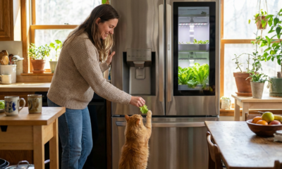 A Cat's Unusual Greens Habit Ignites Viral Sensation Worldwide