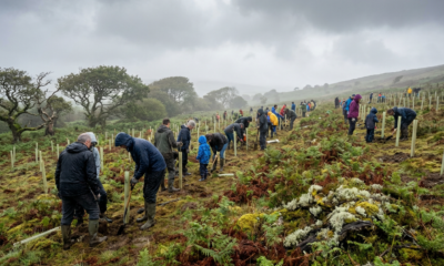 Land Trust's Rainforest Revival Surpasses Early Goals, Sparking Broader Restoration Dreams