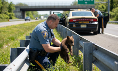 You Won't Believe What Troopers Rescued by the Side of the Road – Pure Joy Ensues!