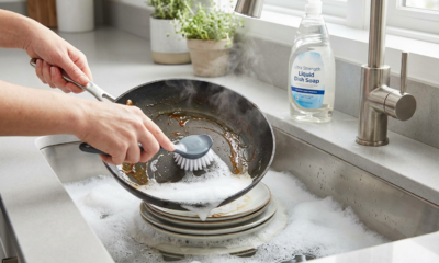 Wholesome Dishwashing Triumph Turns Struggles Into Jaw-Dropping Cleans That Will Melt Your Heart