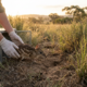 Australia's Extinct Bandicoots Face a New Era of Wild Survival
